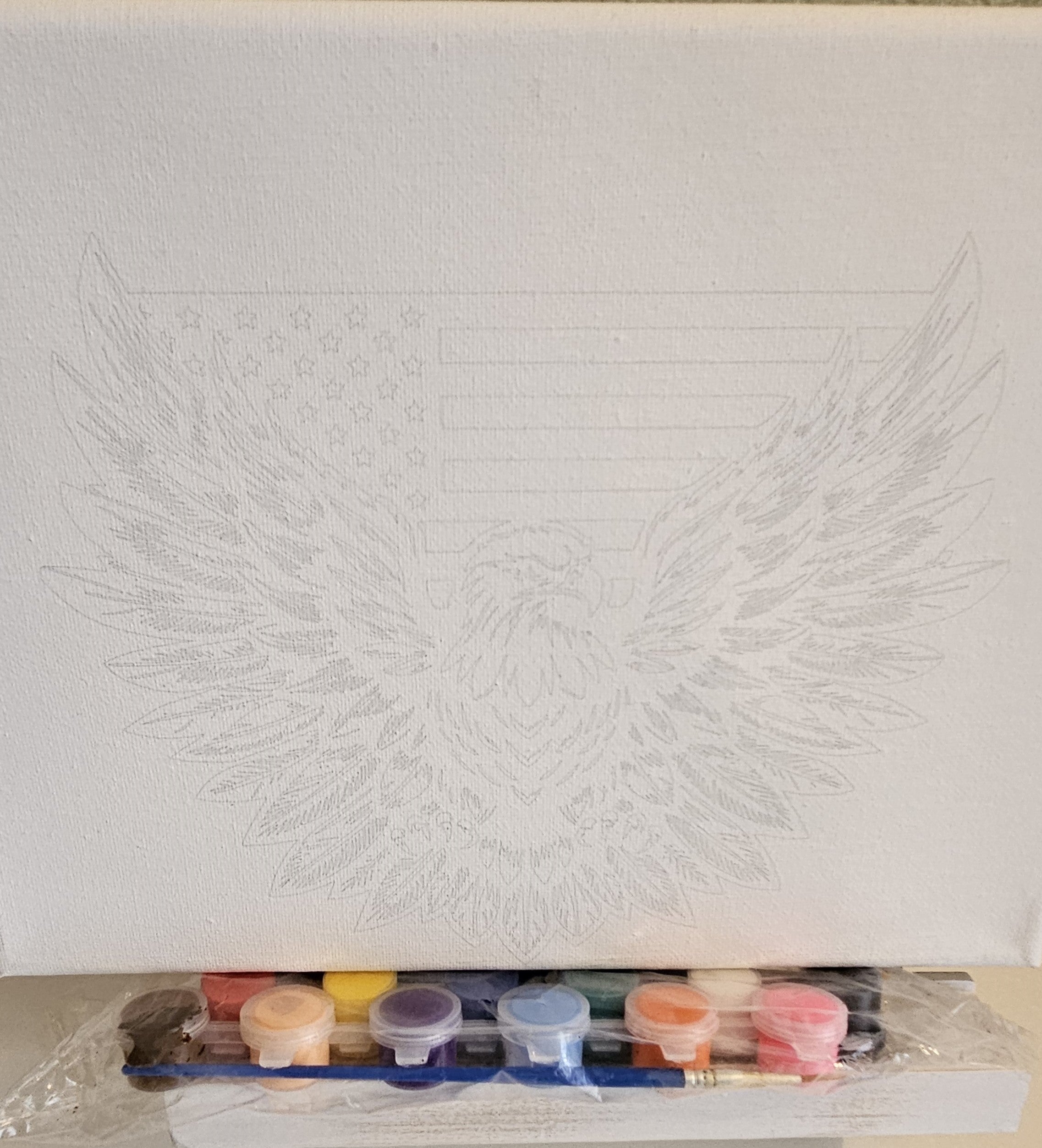 Ready to Paint Canvas – American Eagle